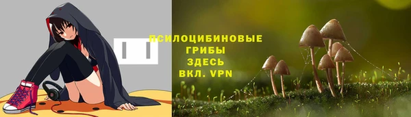 мдпв Бугульма