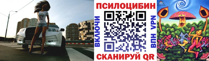 Галлюциногенные грибы прущие грибы  Дагестанские Огни 